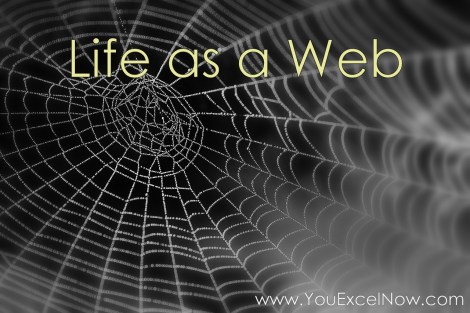 life as a web