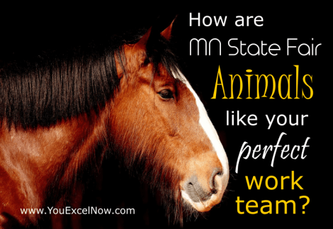 State Fair Animals and Work Team