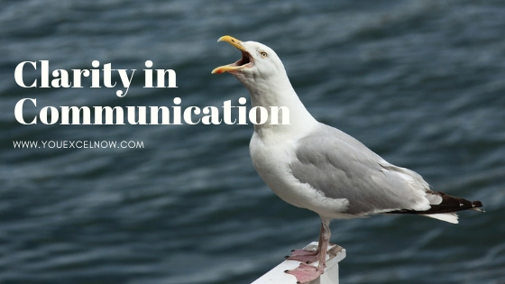 Seagull screeching the words "Clarity in Communication"